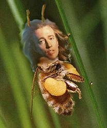 Bzzz